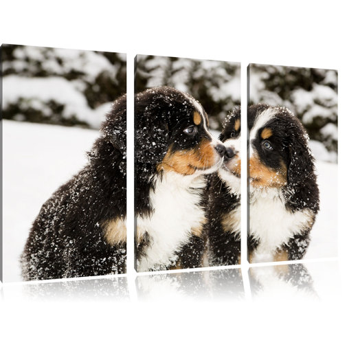 Pixxprint 3-tlg. Leinwandbilder-Set „Bernersennen Hunde Welpen im